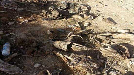 hallada una fosa común en el noreste de Iraq Hallada una fosa común en Sinyar al noreste de Iraq